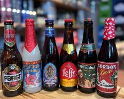 265177590_208826948078127_2727611713198177752_n