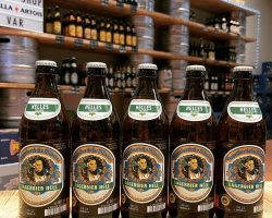 271585646_229188222708666_6046745985949020793_n